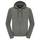 The North Face Men's 100 Embro Full Zip Hoodie