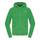The North Face Men's 100 Embro Full Zip Hoodie