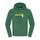 The North Face Men's 100 Drew Peak Pullover