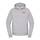 The North Face Men's Classic Full Zip Hoodie