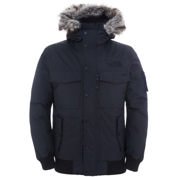 the north face parka