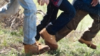 Kid's Timberland Footwear