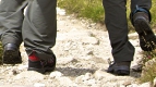 Berghaus Walking Trainers