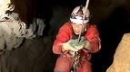 Petzl Head Torches