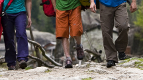 The North Face Legwear