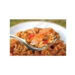 Wayfayrer Food - Chicken Jalfrezi & Rice