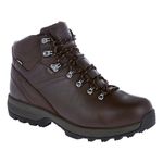 Berghaus Men's Explorer Ridge Plus GTX Walking Boots