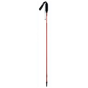 Mountain King Trail Blaze Walking Pole (Pair)