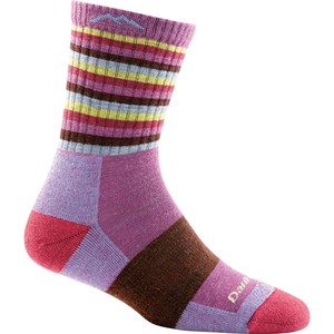 Darn Tough Women's Stripes Micro Crew Cushion Sock