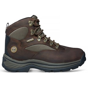 Timberland Women's Chocorua Trail GTX Boots