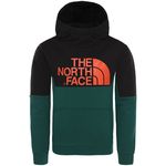 The North Face Youth South Peak Hoodie