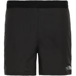 The North Face Men's Ambition Shorts