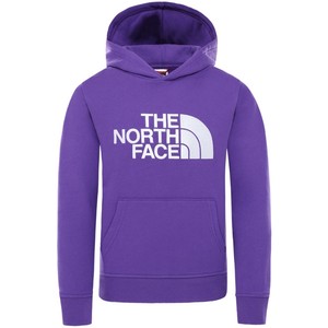 The North Face Youth Drew Peak Pullover Hoodie