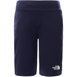 The North Face Boy's Surgent Shorts