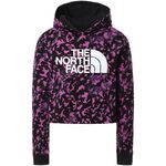 The North Face Girl's Drew Peak Cropped P/O Hoodie