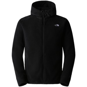 The North Face Men's Alpine Polartec  Fleece 200 Hooded Jacket