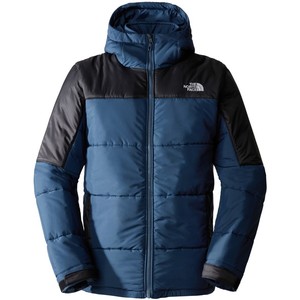 The North Face Men's Circular Synthetic Hooded Jacket