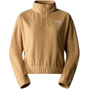 The North Face Women's Homesafe Snap Neck Fleece