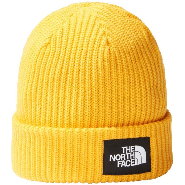 The North Face Salty Dog Beanie - Outdoorkit