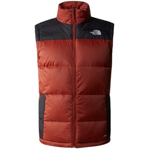 The North Face Men's Diablo Vest