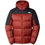 The North Face Men's Diablo Down Hooded Jacket