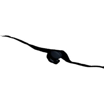 Placeholder2